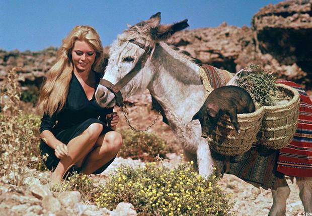 🎥 When Brigitte Bardot made Mijas dream
